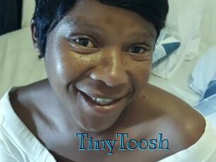 TinyToosh