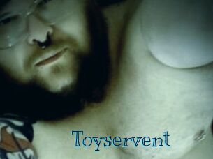 Toyservent
