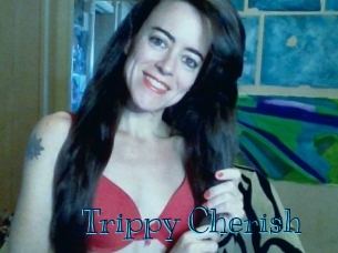 Trippy_Cherish Archive DVD BIZ