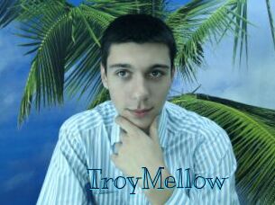 TroyMellow