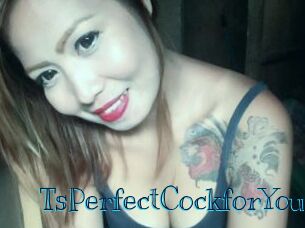 TsPerfectCockforYou
