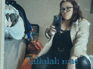 Tallulah_mae