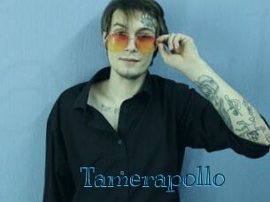 Tamerapollo
