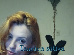 Taurina_sativa