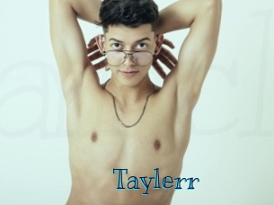 taylerr Archive DVD BIZ