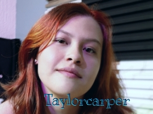 taylorcarper Archive DVD BIZ