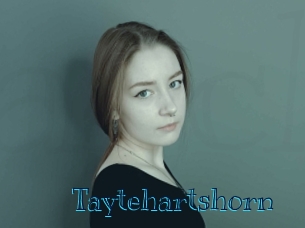 Taytehartshorn