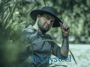 Teddysteel