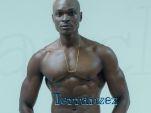 terranzez Archive DVD BIZ