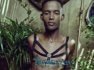 teylorray Archive DVD BIZ