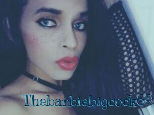 Thebarbiebigcock69
