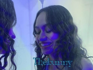 Thebunny