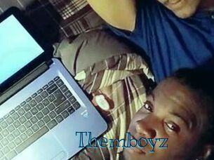 themboyz Archive DVD BIZ