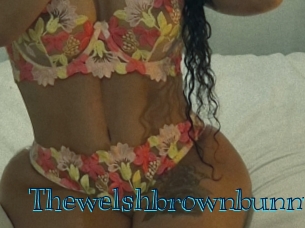 Thewelshbrownbunny