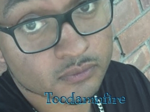 toodamnfire Archive DVD BIZ