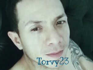 Torvy23