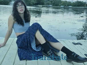 transbate Archive DVD BIZ