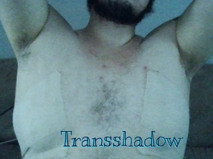 Transshadow