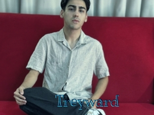 treyward Archive DVD BIZ