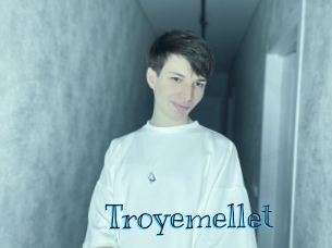 troyemellet Archive DVD BIZ