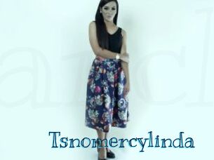 Tsnomercylinda