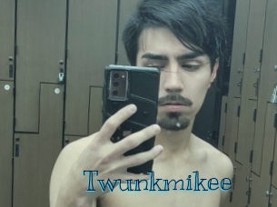 Twunkmikee
