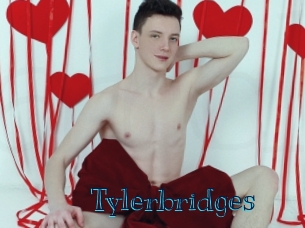 tylerbridges Archive DVD BIZ