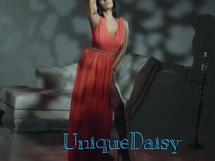 UniqueDaisy Archive DVD BIZ