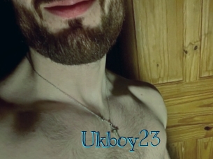 ukboy23 Archive DVD BIZ