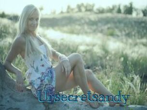 Ursecretsandy
