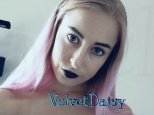 VelvetDaisy