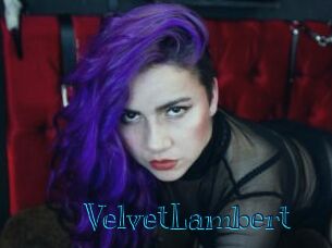 VelvetLambert