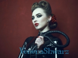 VenenaShwarz Archive DVD BIZ