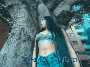 Venus_Walton