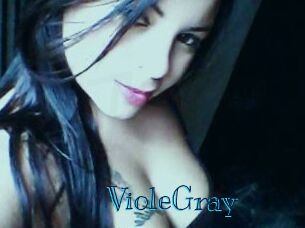 VioleGray