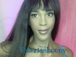 valeriaeboony Archive DVD BIZ