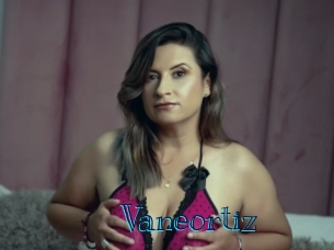 Vaneortiz