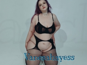 vanesahayess Archive DVD BIZ