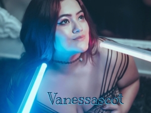 vanessascot Archive DVD BIZ
