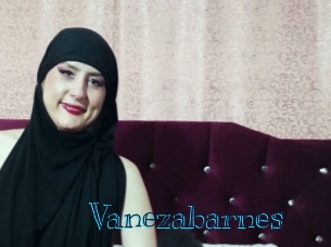 Vanezabarnes