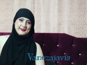 Vanezajavis
