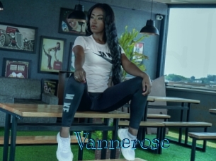 vannerose Archive DVD BIZ
