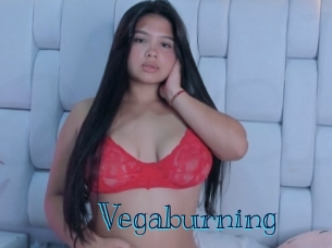Vegaburning