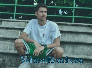 Velamikbarbosa
