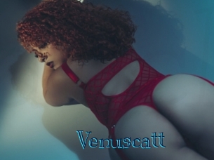 Venuscatt