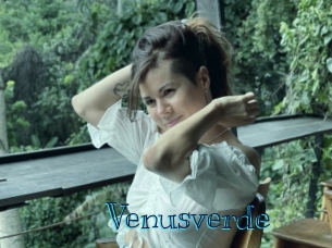 venusverde Archive DVD BIZ