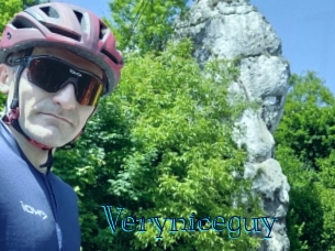 veryniceguy Archive DVD BIZ