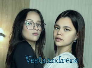 vestaandrene Archive DVD BIZ
