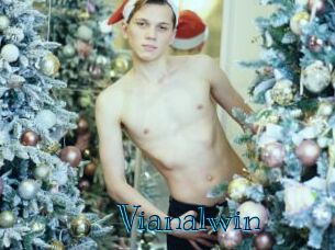 Vianalwin