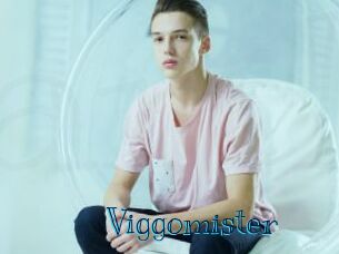 Viggomister